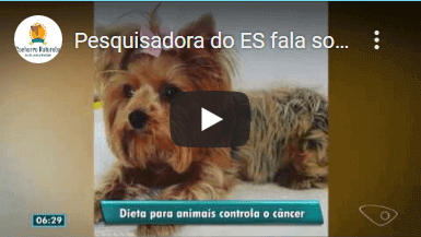 Início 2 Início 2