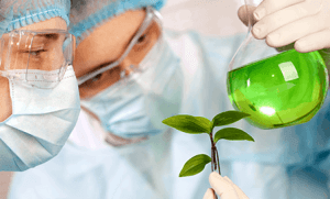 Naturopatia, A Cura pela Natureza 2 Naturopatia, A Cura pela Natureza 1