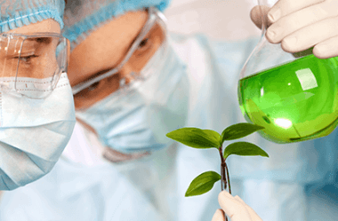 Naturopatia, A Cura pela Natureza