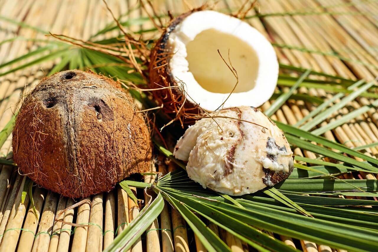 Pedaços de coco
